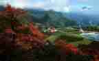 写景区的作文300字6篇