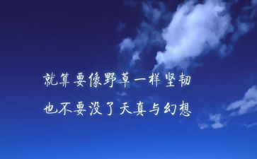 企业团队精神演讲稿7篇