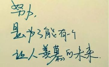 重性精神病实工作计划5篇
