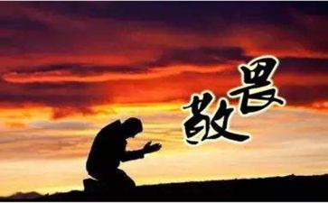 作文敬畏生命600字6篇