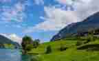 写景物的作文写景物的作文通用8篇
