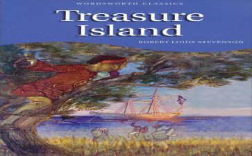 金银岛读后感5篇