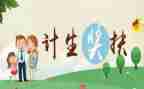 2024年计生工作半年总结7篇