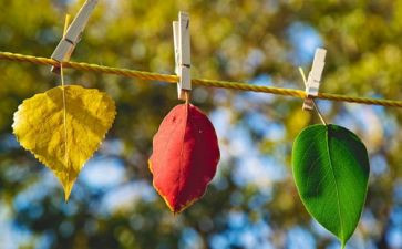 九月份教师月工作总结6篇