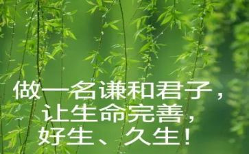 君子兰描写君子兰的作文5篇