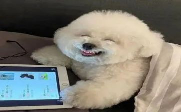 我开心的作文作文通用7篇