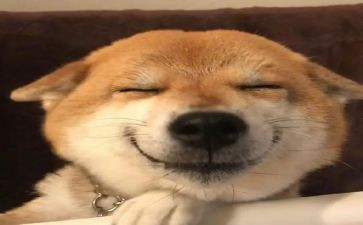 开心的六一儿童作文8篇