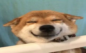 写开心的作文300字7篇