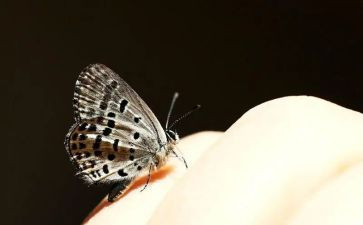 《看见》柴静读后感6篇