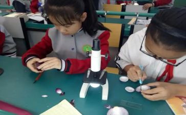 科学课小班教案模板8篇