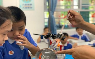 大班科学课教案参考6篇