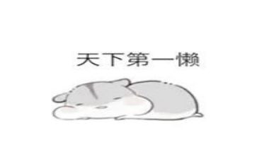 我的懒爸爸作文最新5篇