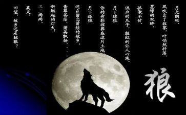 《狼王梦》读后感优秀作文6篇