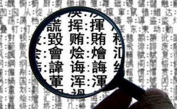 滥用字调查报告8篇