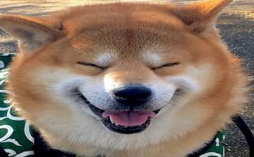 读书的苦与乐作文600字7篇