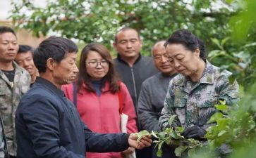 李保国事迹心得体会5篇