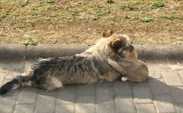 流浪地球二观后感参考8篇