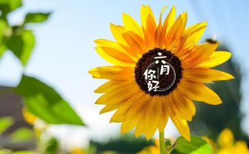 六月工作计划精选5篇