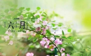 2024年幼儿园六月份工作总结7篇