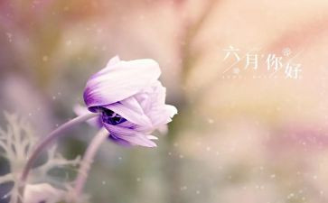 六月工作计划8篇