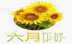 六月学生会工作计划8篇