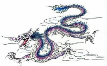 龙游石窟的作文5篇