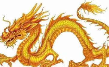 九龙谷作文7篇