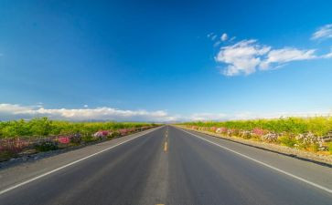 青春的路上作文600字8篇