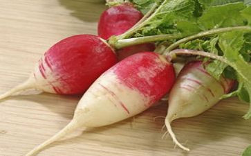 小班大萝卜小萝卜教案参考8篇