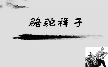 骆驼祥子16的读后感推荐5篇