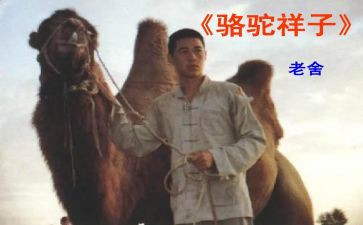 骆驼祥子16的读后感优质6篇