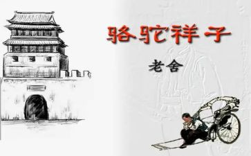 骆驼祥子16的读后感通用7篇