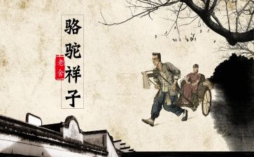 骑骆驼的作文6篇