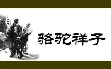 骆驼祥子9到16章读后感5篇