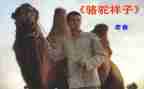 骆驼祥子16的读后感优质6篇