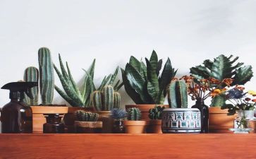 绿化工程的合同通用7篇