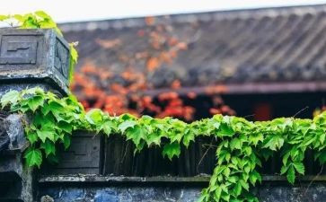 慢慢来的读后感7篇