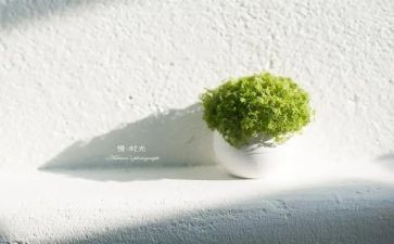 慢下来的作文7篇