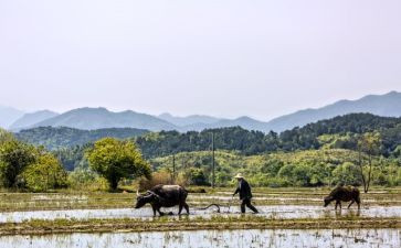 忙为的作文500字6篇