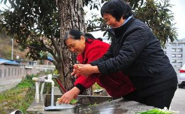 校园生活满意度调查报告8篇