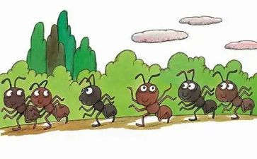 红蚂蚁作文通用6篇