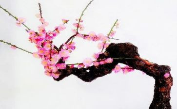 丁立梅读后感8篇