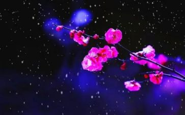 《梅花魂》的读后感7篇