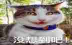 真没想到作文700字7篇