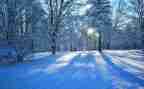 写冬天的雪的作文300字6篇
