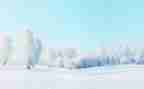 关于冬天的雪的作文最新6篇