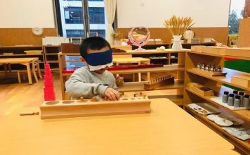 大班蒙氏数学教案通用5篇