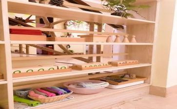 幼儿园大班蒙氏活动教案模板6篇