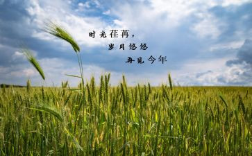 畅想明年的自己作文7篇