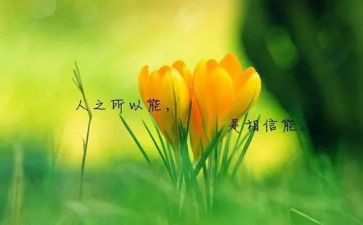 名人专的读后感模板5篇